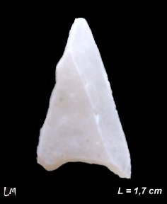 JPG - 5.7 ko